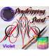 Pinstripping Paint 100ml