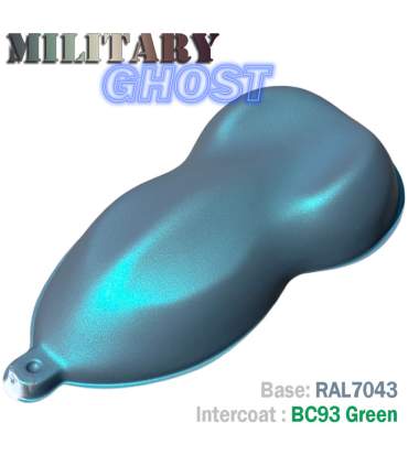 MILITARY GHOST effect car paint kit – 16 colour combinations