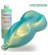 Complete pearlescent paint kit for bike - STARDUST BIKE