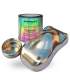 GoChrome gold, bronze, copper, platinium paint