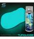 Complete phosphorescent paint kit for bikes - STARDUST BIKE
