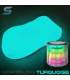 Complete phosphorescent paint kit for bikes - STARDUST BIKE