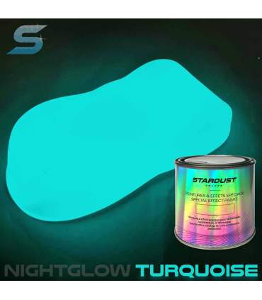 Complete phosphorescent paint kit for bikes - STARDUST BIKE