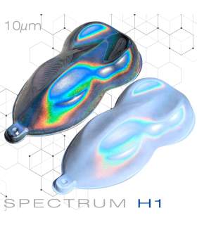 Spectrum Holographic paint