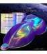 Lunaar Collection – Exceptional iridescent colours