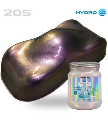 Chameleon paint kit for bicycles in HYDRO formula