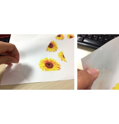 Blank Hydro Dipping Transfer Film for printing, 21cm or 30cm