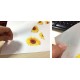 Blank Hydro Dipping Transfer Film for printing, 21cm or 30cm