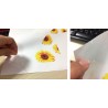 Blank Hydro Dipping Transfer Film for printing, 21cm or 30cm