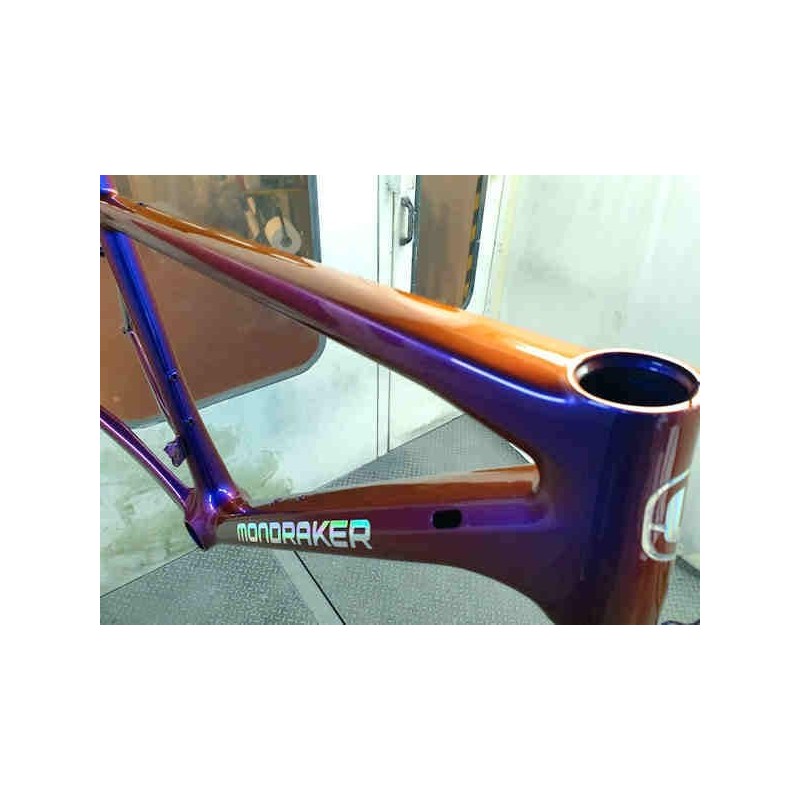 chameleon bike paint