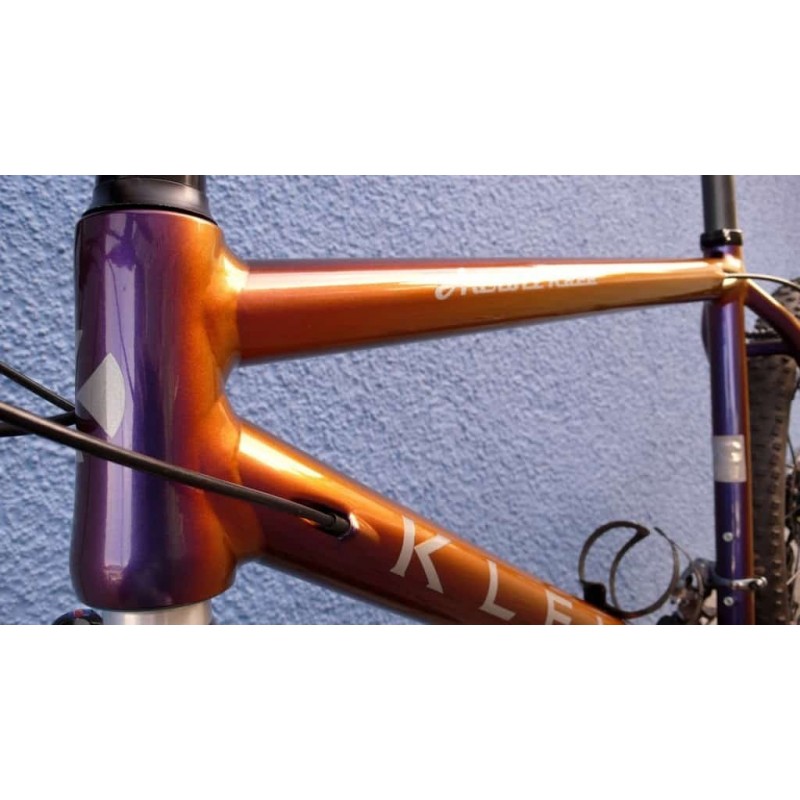 chameleon bike paint