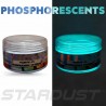 Phosphorescent powder