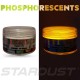 Phosphorescent powder