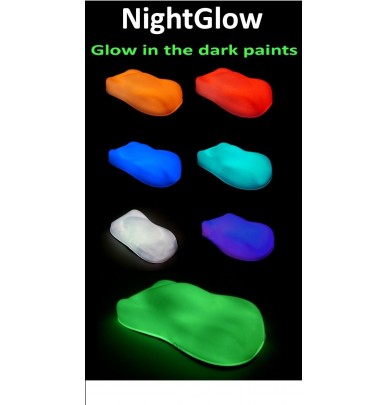 Complete phosphorescent paint kit for bikes