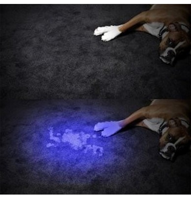 Portable Mini Torch Type UV Lamp