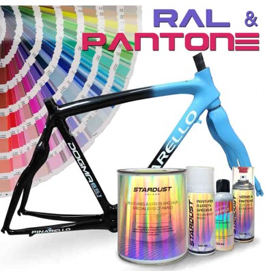 RAL or PANTONE Bike Paint Kit - Stardust Bike