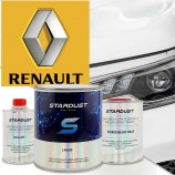 Renault colour code - 2K paint in aerosol spray or can with hardener