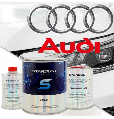 Audi colour code - 2K paint in aerosol spray or can with hardener