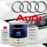 Audi colour code - direct gloss 2K paint in spray or set with hardener