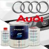 Audi colour code - 2K paint in aerosol spray or can with hardener