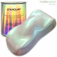 MOTORCYCLE KIT - METALLIC PAINTS