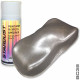 Complete pearlescent paint kit for bike