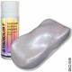 Complete pearlescent paint kit for bike