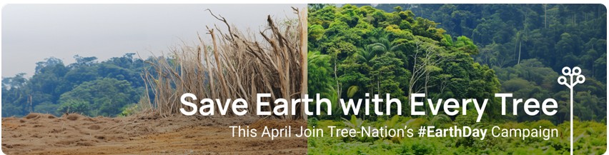 StardustColors and its commitment to reforestation