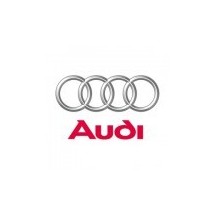 AUDI car paint