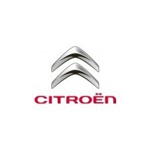 CITROEN car paint