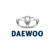 DAEWOO car paint