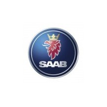 Saab car paint