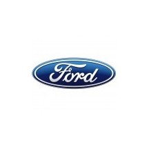 FORD PAINT