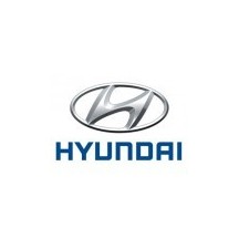 HYUNDAI car paint