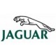 JAGUAR car paint