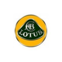 Lotus car paint