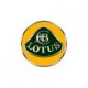 Lotus car paint