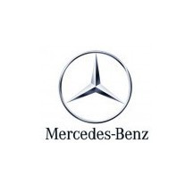 MERCEDES car paint