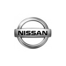 NISSAN car paint