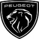 PEUGEOT car paint