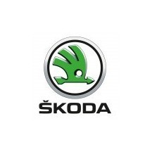 SKODA car paint