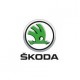 SKODA car paint