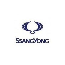 SSANGYONG car paint