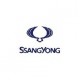 SSANGYONG car paint