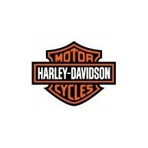 HARLEY-DAVIDSON motorcycle paint