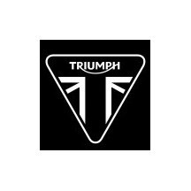 TRIUMPH motorcycle paint