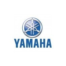 YAMAHA motorcycle paint