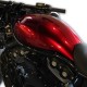 Pearly motorcycle paints