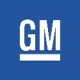 GENERAL MOTORS car paint