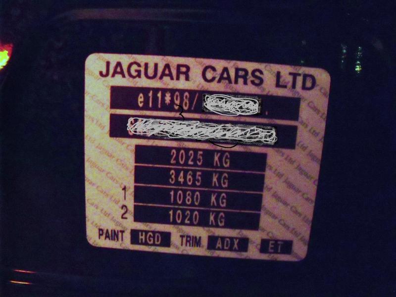 Jaguar paint
